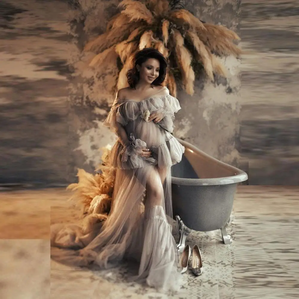 Plus Size See Through Celebrity Dress 