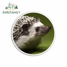 ^^Best Offers EARLFAMILY 13cm x 13cm for Cute Hedgehog Cartoon Funny Car Stickers Vinyl Sunscreen RV VAN Fine Decal JDM Car Accessories ^^Best Offers EARLFAMILY 13cm x 13cm for Cute Hedgehog Cartoon Funny Car Stickers Vinyl Sunscreen RV VAN Fine Decal JDM Car Accessories