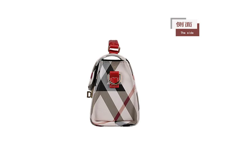 FERAL CAT 2017 Luxury Handbags Women Shoulder Bags Designer Ladies Hand Bags Leather Messenger Bag32