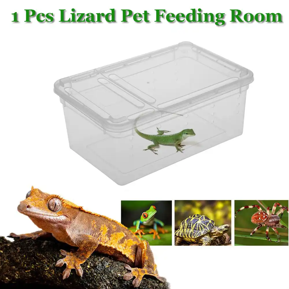 1pc Transparent Plastic Box Insect Reptile Terrarium Clear