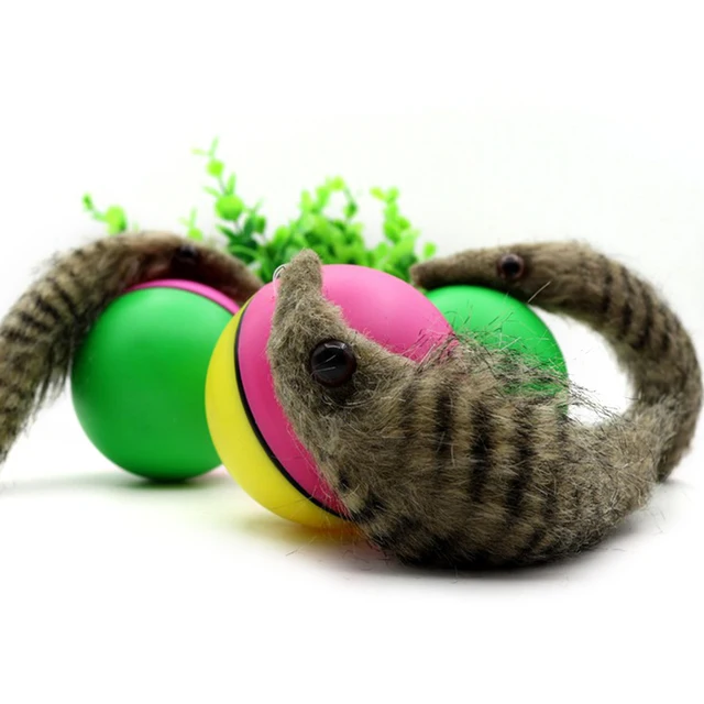 Funny Pet Dog Cat Toy Electric Beaver Weasel Rolling Ball Toy Pet Supplies for Puppy Dogs Moving Toys New 1