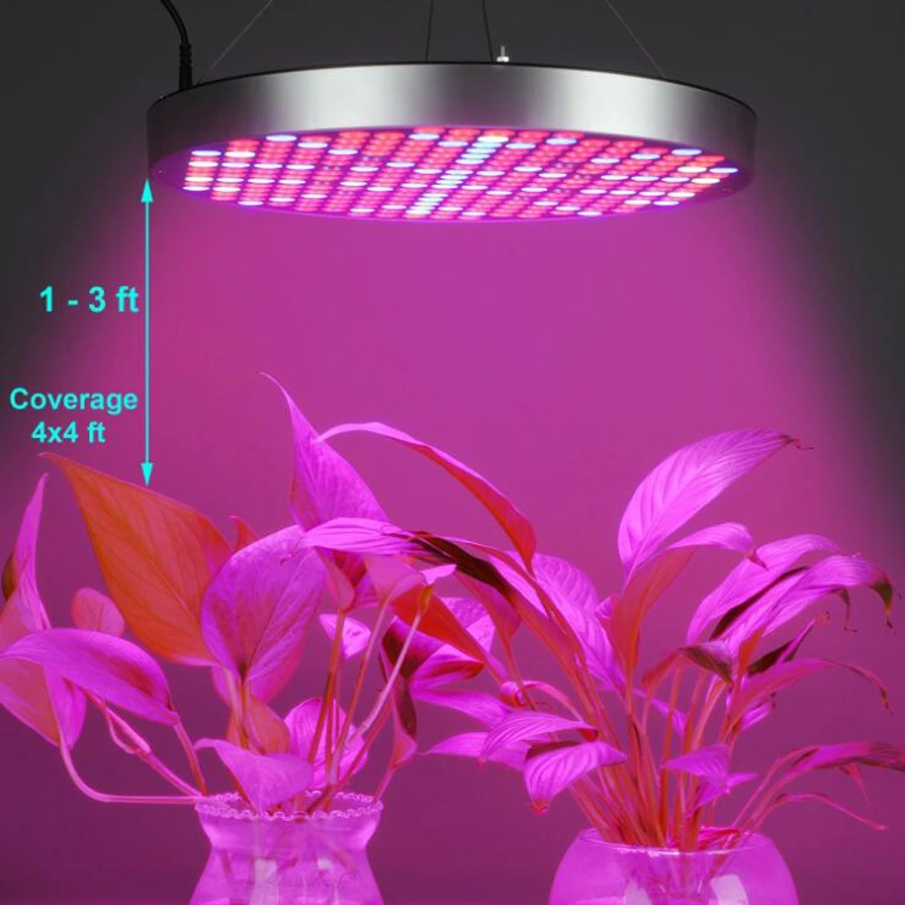 Luzes LED crescimento plantas