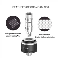 Electronic Cigarettes