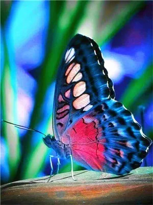 Butterfly 9 Бабочка животное Новое поступление цветок DIY Кристалл полная дрель квадратная 5D алмазная живопись Набор для вышивки крестом мозаика круглые стразы - Цвет: Butterfly 9