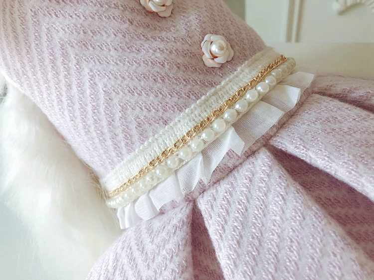Милое платье принцессы собак, платья для домашних животных, юбки, одежда для кошек, одежда для собак, индивидуальная Дизайнерская одежда в Мальтийском стиле