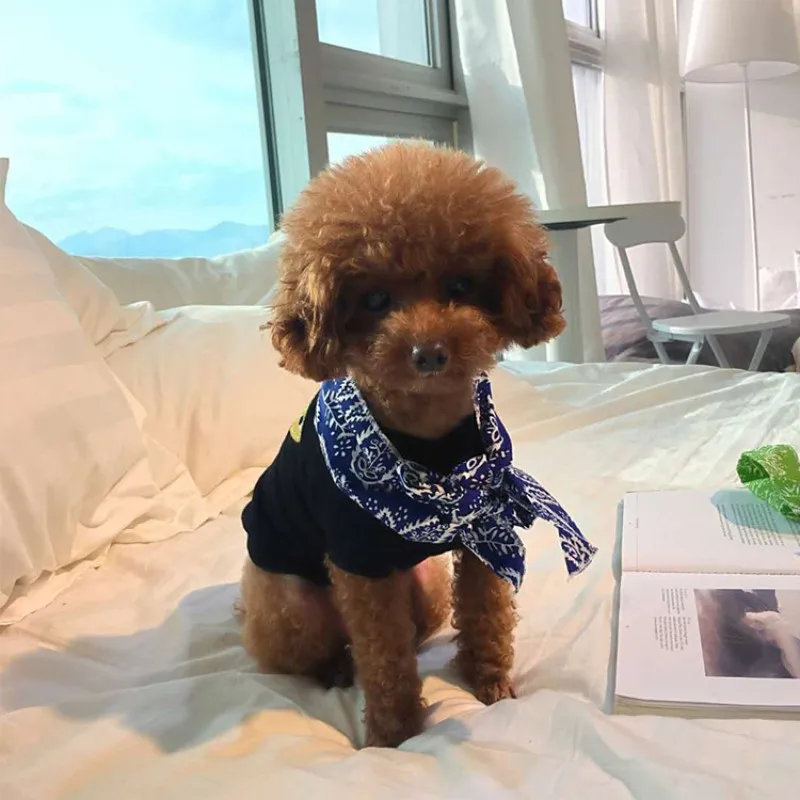

Dog Summer Ice Towel Cotton Heatstroke Prevention Cooling Ice Collar Cat Breathable Cold Saliva Towel Pet Ice Pad