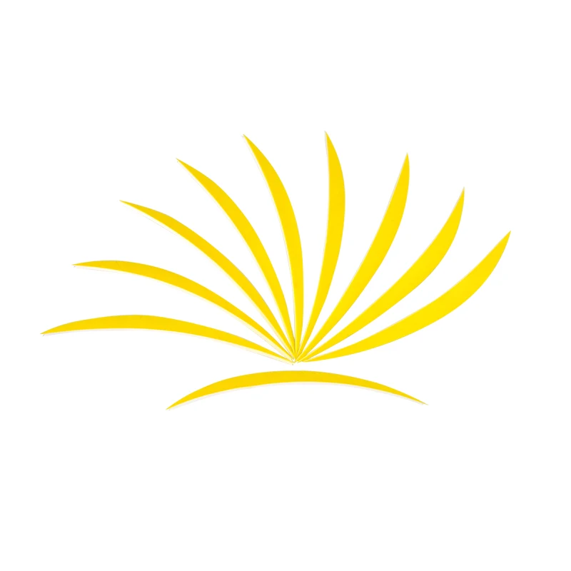 100pcs yellow 50/100 шт " стрельба из лука перо индейки правое крылья подходят для спорта на открытом воздухе занятий Охота Стрельба Флетч Стрелка Аксессуары «сделай сам» - Цвет: 100pcs yellow