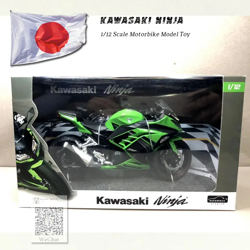 KAWASAKI NINJA (6)