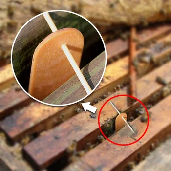

10pcs/bag Beekeeping Tools Beehive Chaoqing Kill Woodworm Pieces Nest Home Garden Prevention Cotton Insect Pollution Free