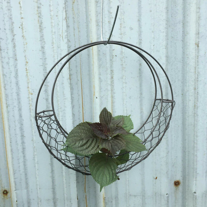 28 см Ретро Железный в форме Луны горшок для суккулентов металлический подвесной горшок для растений садовое украшение балкона