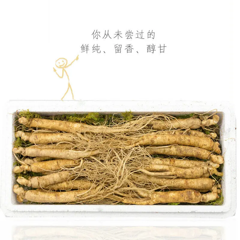 10pc-nature-small-korea-white-ginseng-root-rootlet-for-plant-in-garden-plant