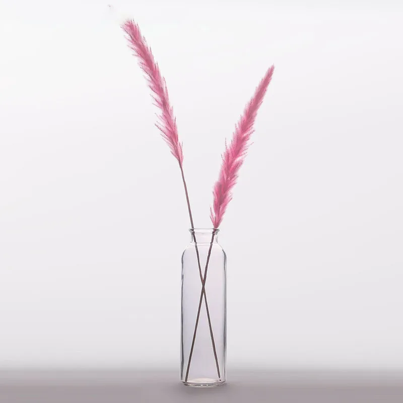 11962931159_1663543272