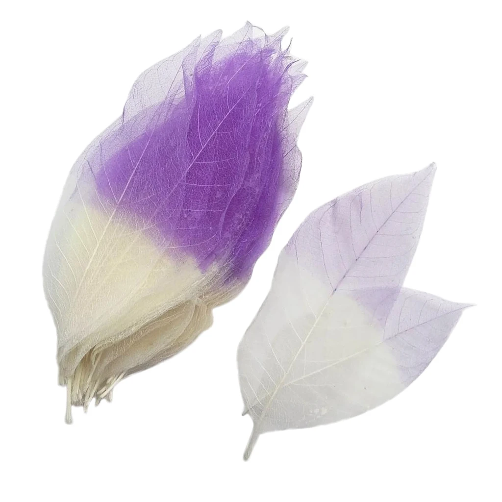 100 Pieces Colorful Magnolia Dried Skeleton Leaf Leaves Scrapbooking Embellishment for Jewelry Making DIY Necklace Earrings