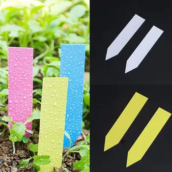 

100 Pieces Reusable PVC Plants Label Fruit Tree Garden Classification Tools Seedling Flower Pot Plastic Sign Label E8F8