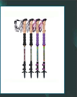 SZ080040043588RK