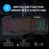 Mouse & Keyboards