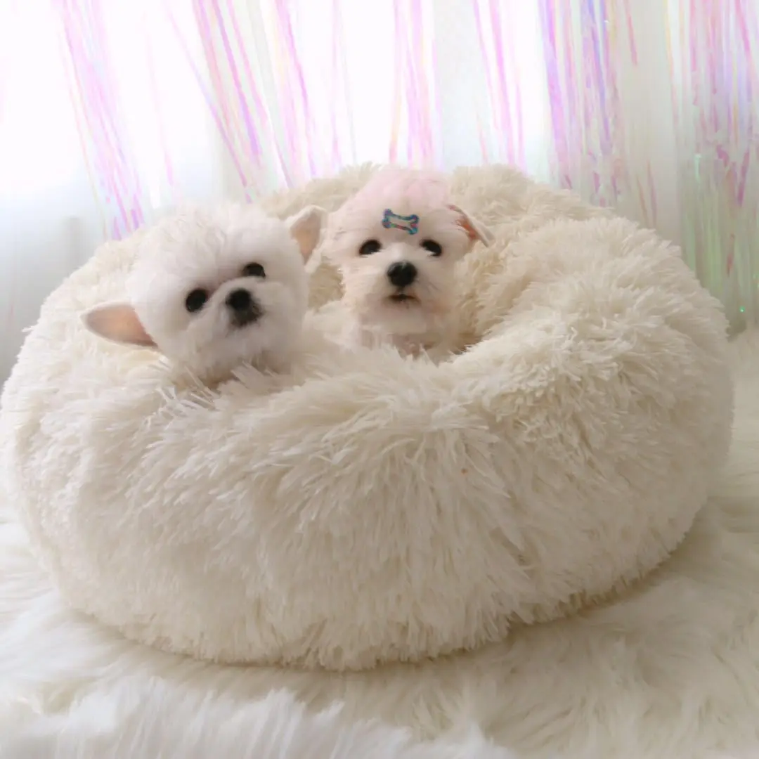 Хs-xxxl кровать для собак круглый теплый пушистый коврик для собак моющаяся кровать для кошек длинная бархатная кровать для домашних животных 9 цветов диван для собак гнездо для отдыха