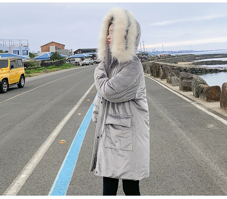  pleuche cotton2_06.jpg