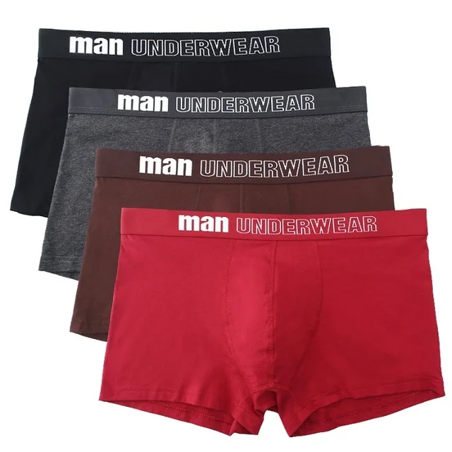 4 шт. мужские шорты-боксеры нижнее белье бренд-Боксер Cueca хлопок Homme мягкий удобный Воздухопроницаемый Ropa интерьер HM01-1 - Цвет: A