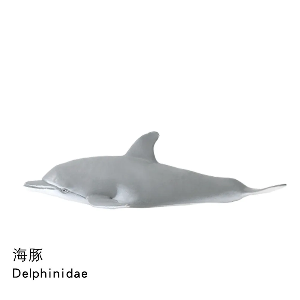 17-21 см полые морские животные модель животное горбатый Дельфин сперма Молот Акула синий пилот КИТ Акула Белуга игрушки подарок - Цвет: 3
