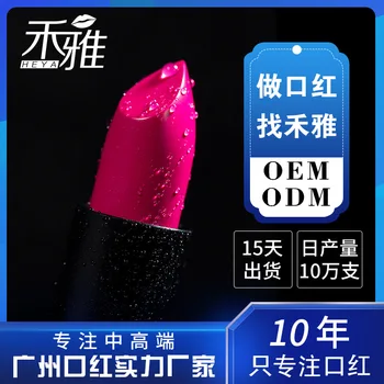 

High and Mid Grade Lipstick OEM Velvet Texture Beauty Makeup Moisturizing Lipstick Processing OEM Guangzhou Factory