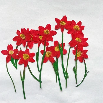 

12PCS Boogie Bird Dried Flower Pressed Flower Specimen Epoxy Phone Shell DIY Frame Specimen Emboss Decoration