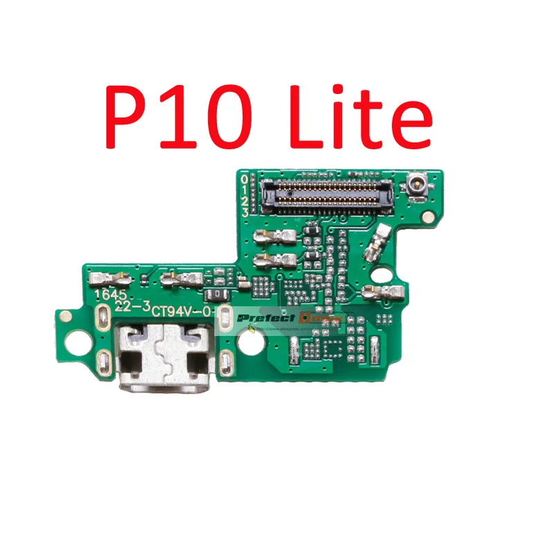 P10-lite