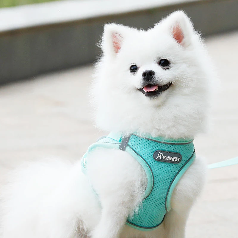 Arnés ajustable de poliéster para perros, correa de malla de tracción, chaleco reflectante ajustable, para caminar