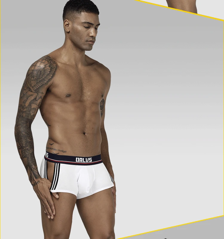 ORLVS Брендовое Мужское нижнее белье мужские сексуальные боксеры cueca masculina дышащие Ropa Interior hombre мужские трусы-боксеры calzoncillo hombre