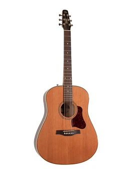 

042494 coastline momentum A/E HG electro acoustic guitar, Seagull
