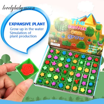 

5pcs Growing In Water Flower Cactuse Bonsai Expansion Plant Toy Magic The Cactus Can Grow