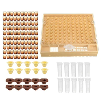 

Beekeeping Tools Set Queen Rearing System Cultivating Box 110pcs Plastic Cups Bee Nicot Complete Catcher Cage Beekeeping New