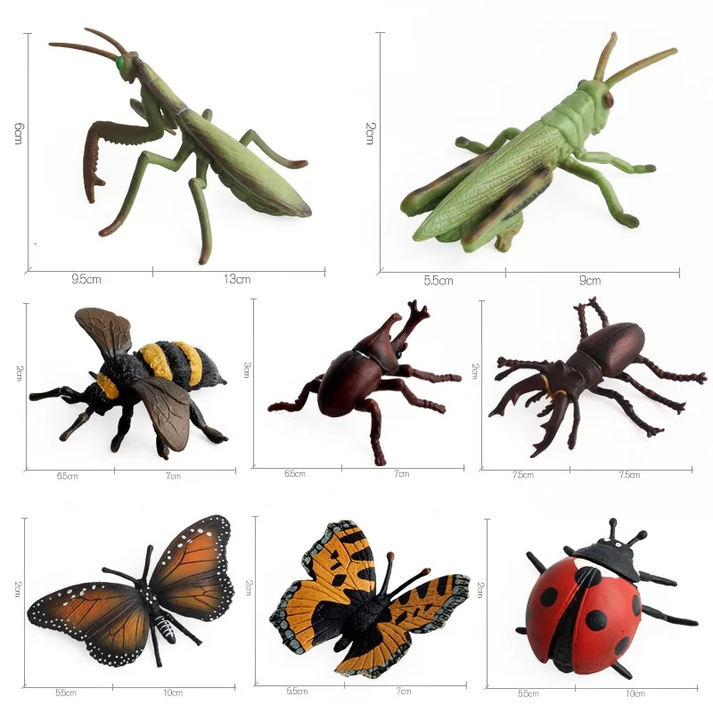 8 Types Realistic Insects Figures Lifelike Animal Figurines Toys Children`S Early Educational Learning Insect Cognitive Toy Gift (4)