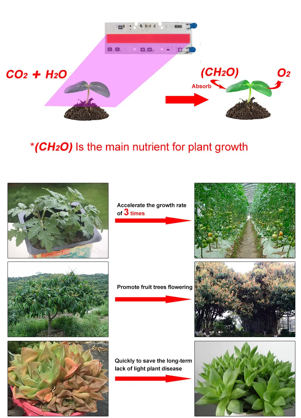 一线植物灯详情atk_08