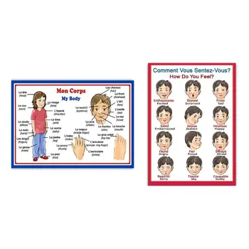 

French Language School Poster: French Words About Parts of The Body, with English Translation - Bilingual Classroom