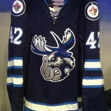 42 PETER STOYKEWYCH Manitoba moose Jets Ретро Возврат хоккейная Джерси Вышивка сшитая под заказ любое количество и имя