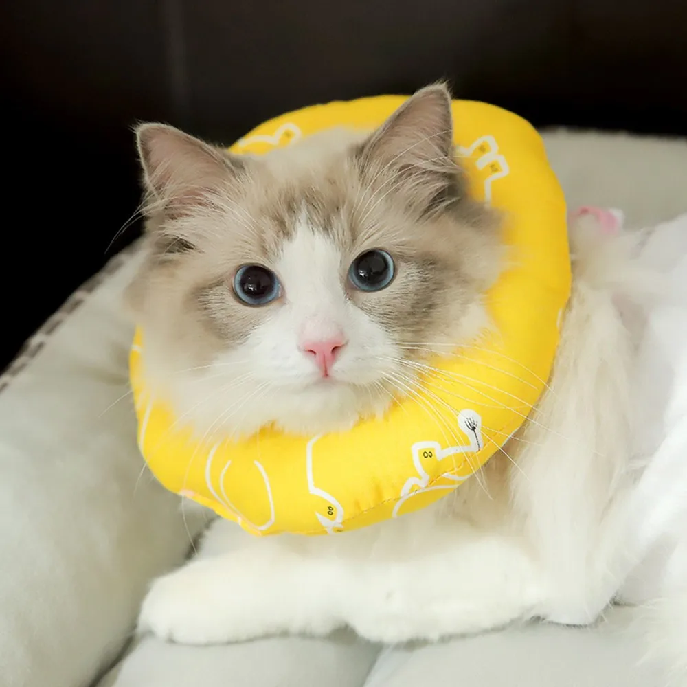 

Pet Protective Collar Pet Healing Wound Neck Cone Protection Collar Anti-Bite Pet Recovery Collar for Dogs Cats Dog Products
