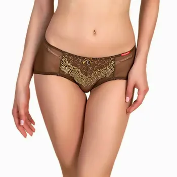 

Women Underwear Sheer Embroidery Briefs Sexy Lace Panties Transparent Crystal Lingeries Boxer
