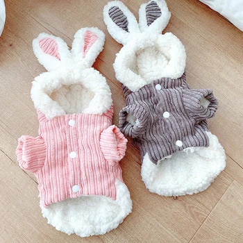 

Cute Dog Coat Jacket Winter Dog Clothes Funny Pet Clothing Hoodie Cat Chihuahua Yorkie Poodle Pomeranian Schnauzer Costume