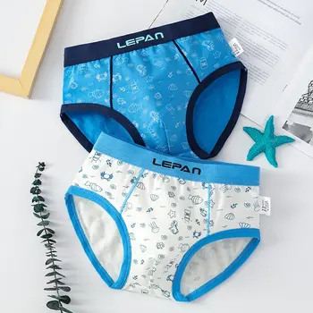 

Summer Cotton Boys Brief Underwear Kids Shorts Underpanties for 3 4 6 8 10 12 14 Years Old Boys Clothes OKU203031