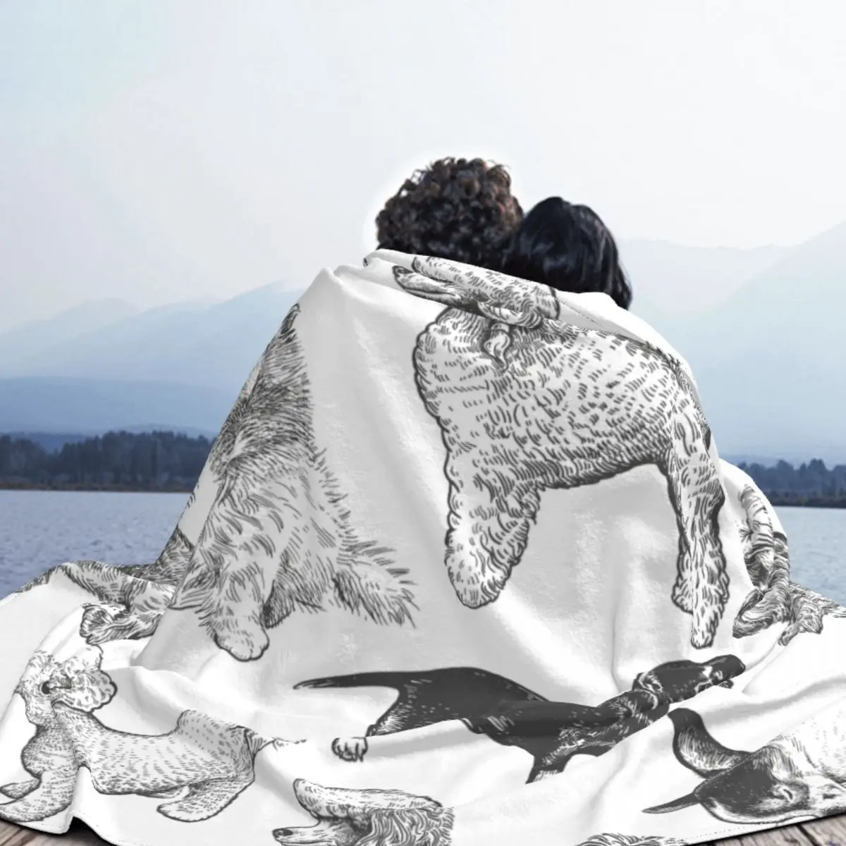 ���� ������ ��ȣ�������� �Ϳ��� ������ ��� ���� �ö��� ��Ƽ�� ����Ʈ ħ�� ����� ��� �� ����