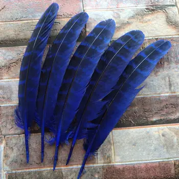

Wholesale 10Pcs Beautiful Blue 10-15cm/4-6inches Natural Pheasant Feathers DIY Jewelry Christmas Holiday Decoration