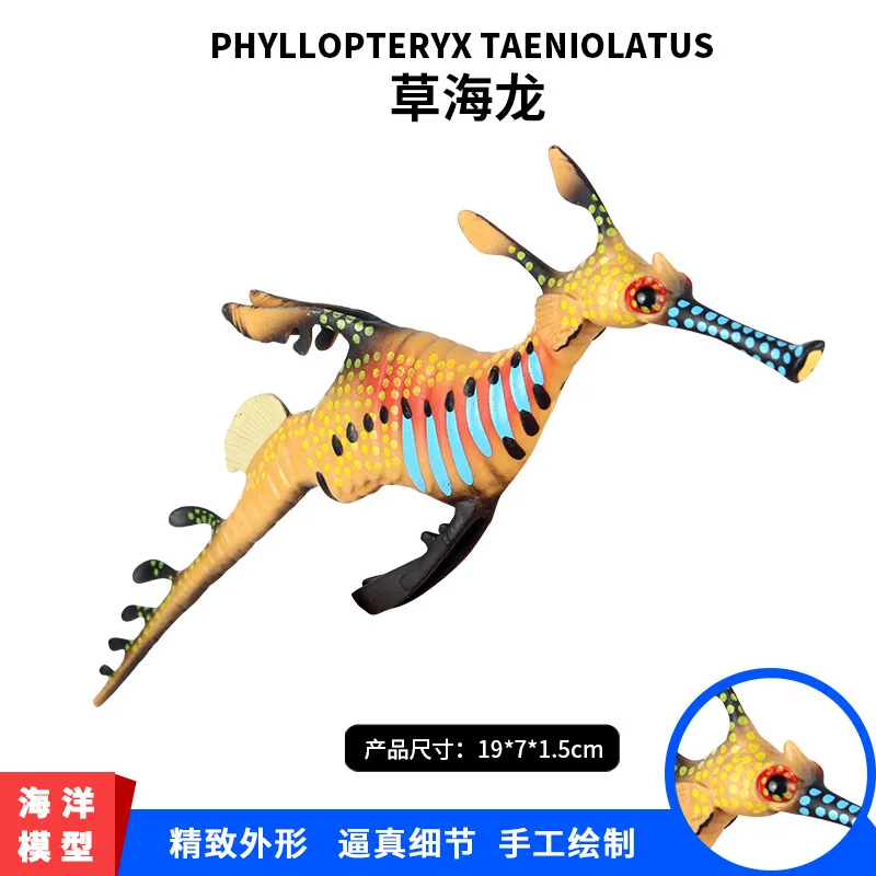 

Model Solid Marine Organism Model Toy Weedy Seadragon Hippocampus Algae Dragon Seabed Animal Model Plastic Ornament