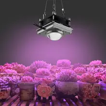 50W COB Plant Growth Light Full Spectrum Greenhouse Vegetables Succulent Seedling Flower Grow LED Light Garden Supplies NEW