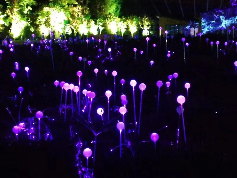 Lawn Garden Fiber Optic Lighting Sticks Optic Fiber Ball Lights Waterproof