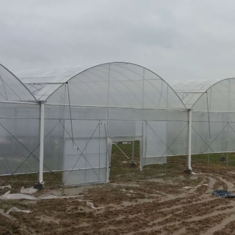 Рисунок 4 - 24 м * 32 м Коммерческая многопролетная