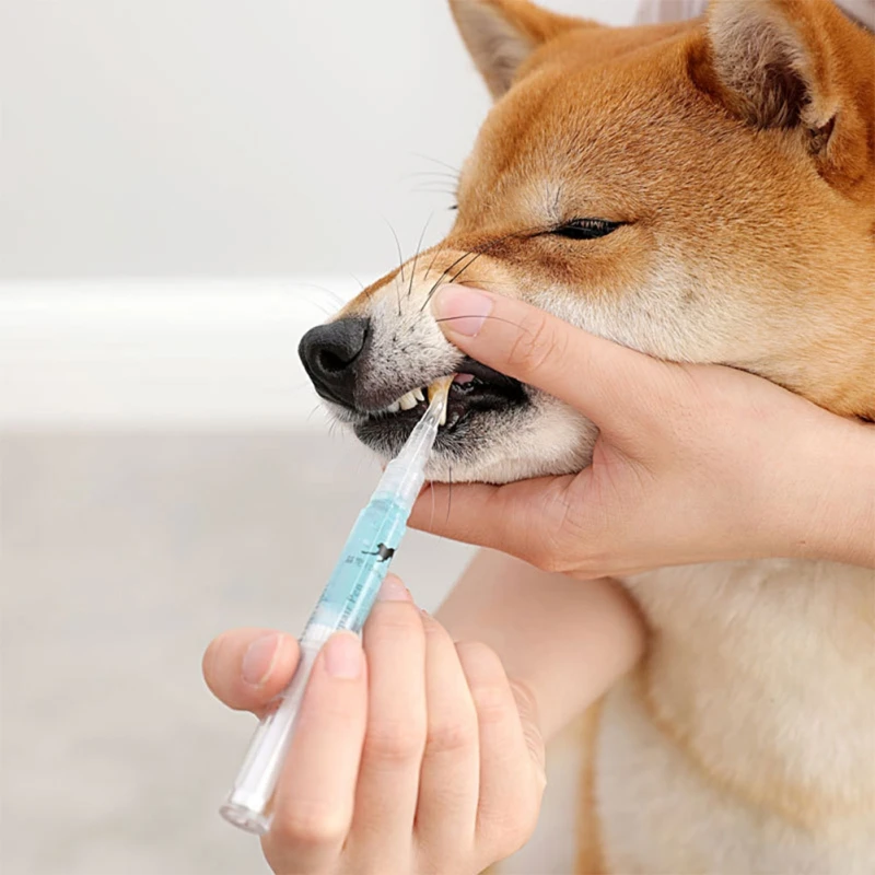

3ml Pet Teeth Cleaning Kit, Pet Beauty Dog Toothbrush Cat Tartar Cleaning Honden Pen Dental Stone Cepillo Dientes Perro C