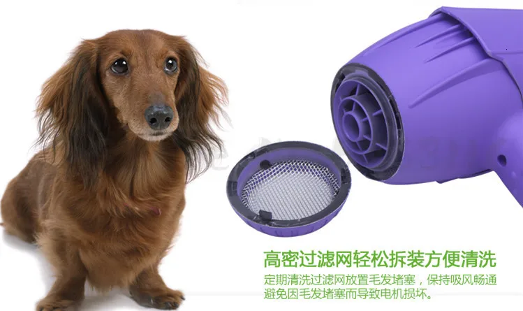 Электрический фен для ухода за собаками, профессиональный термостатический фен для собак Asciugatrice с горячим/холодным воздухом, воздуходувка для собак 220 В