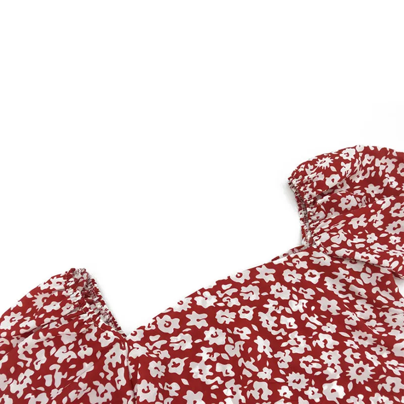 2019-12-13_1576232148_5df364d48cf2f