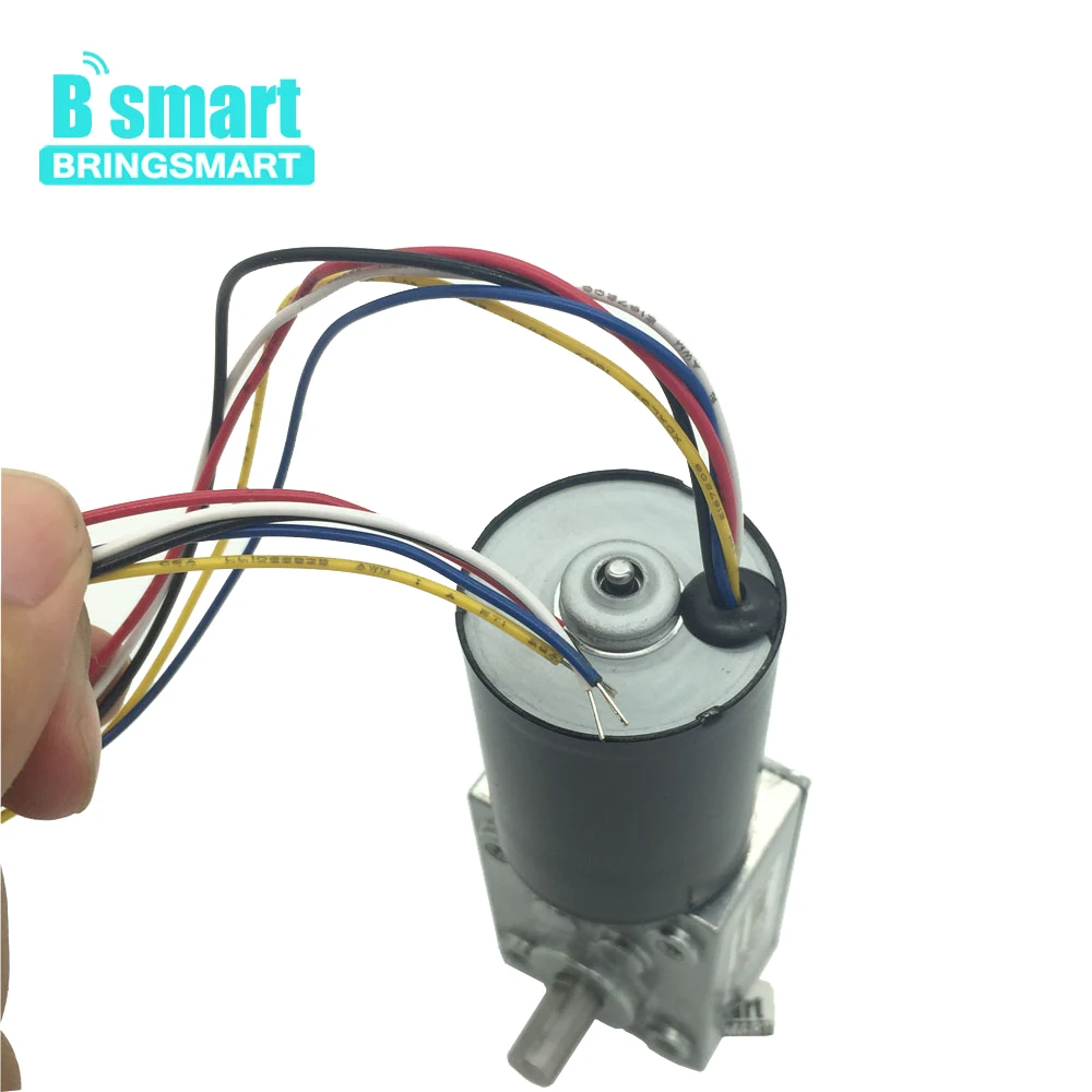 BringSmart BLDC мотор Одежда высшего качества 5840-3650 24v с бесщеточным двигателем постоянного тока червь Шестерни Мотор 12 вольт двойной вал Шестерни мотор